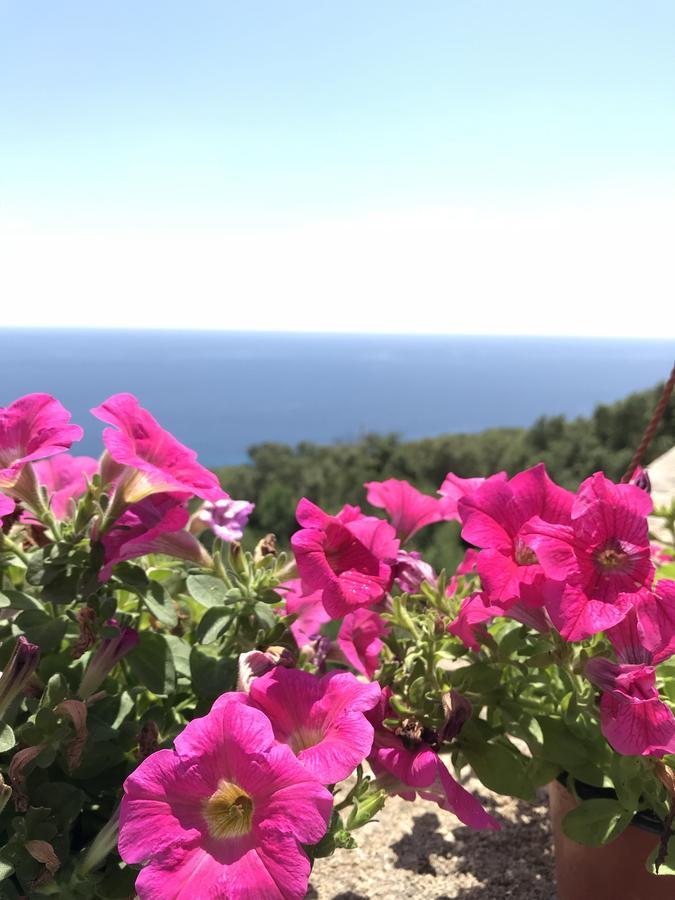 Il Terrazzo - Galatea Casa Vacanze Gagliano del Capo Eksteriør billede